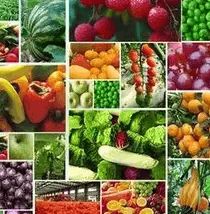 食藥監總局 堅持問題導向，加大食品農獸藥殘留治理力度，保障食用農產品安全