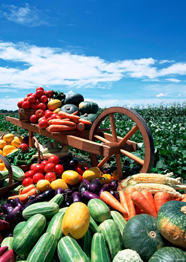 新規落地，守護舌尖安全——孫海山律師解讀《食用農產品市場銷售質量安全監督管理辦法》