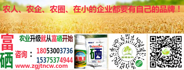 農業農村部實施新規，全國食用農產品全面推行合格證制度